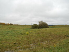Land for sale Zarasų rajono sav., Eiveniuose