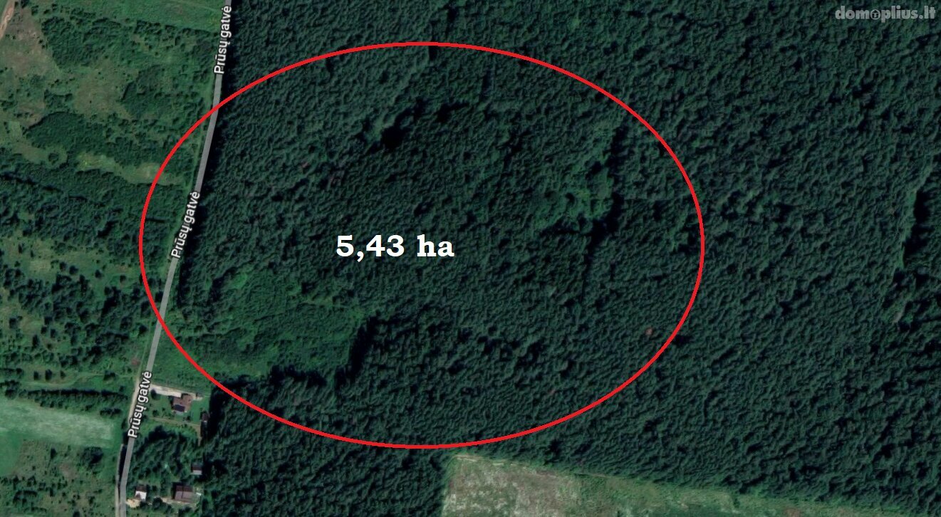 Land for sale Vilniaus rajono sav., Didžiasalyje