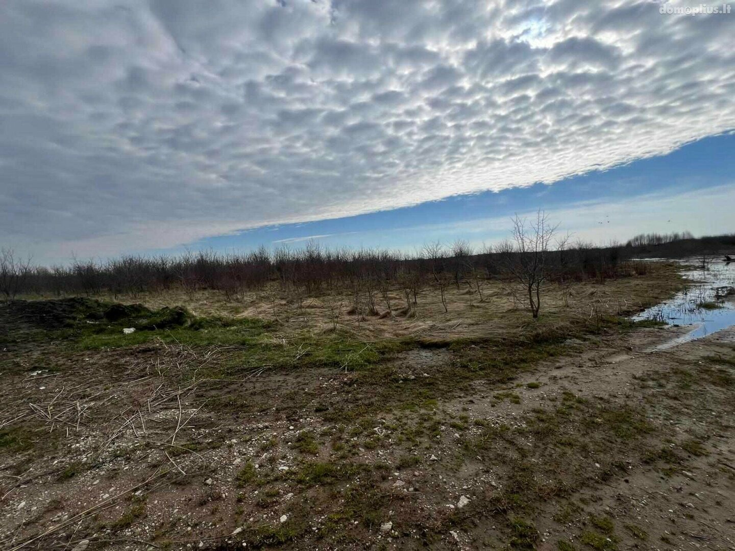 Land for sale Klaipėdos rajono sav., Šilgaliuose