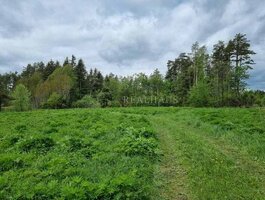 Land for sale Šalčininkų rajono sav., Barkuškėse
