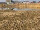 Parduodamas sklypas Klaipėdos rajono sav., Grabiuose, Dirvuolių g. (6 nuotrauka)