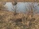 Parduodamas sklypas Klaipėdos rajono sav., Grabiuose, Dirvuolių g. (7 nuotrauka)