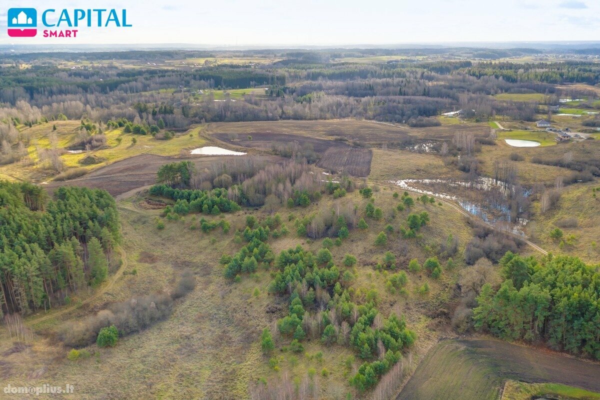 Land for sale Vilniaus rajono sav.