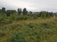 Land for sale Alytaus rajono sav., Likiškėliuose, Punsko g. (10 picture)