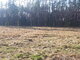 Land for sale Druskininkų sav., Neravuose, Neravų g. (4 picture)