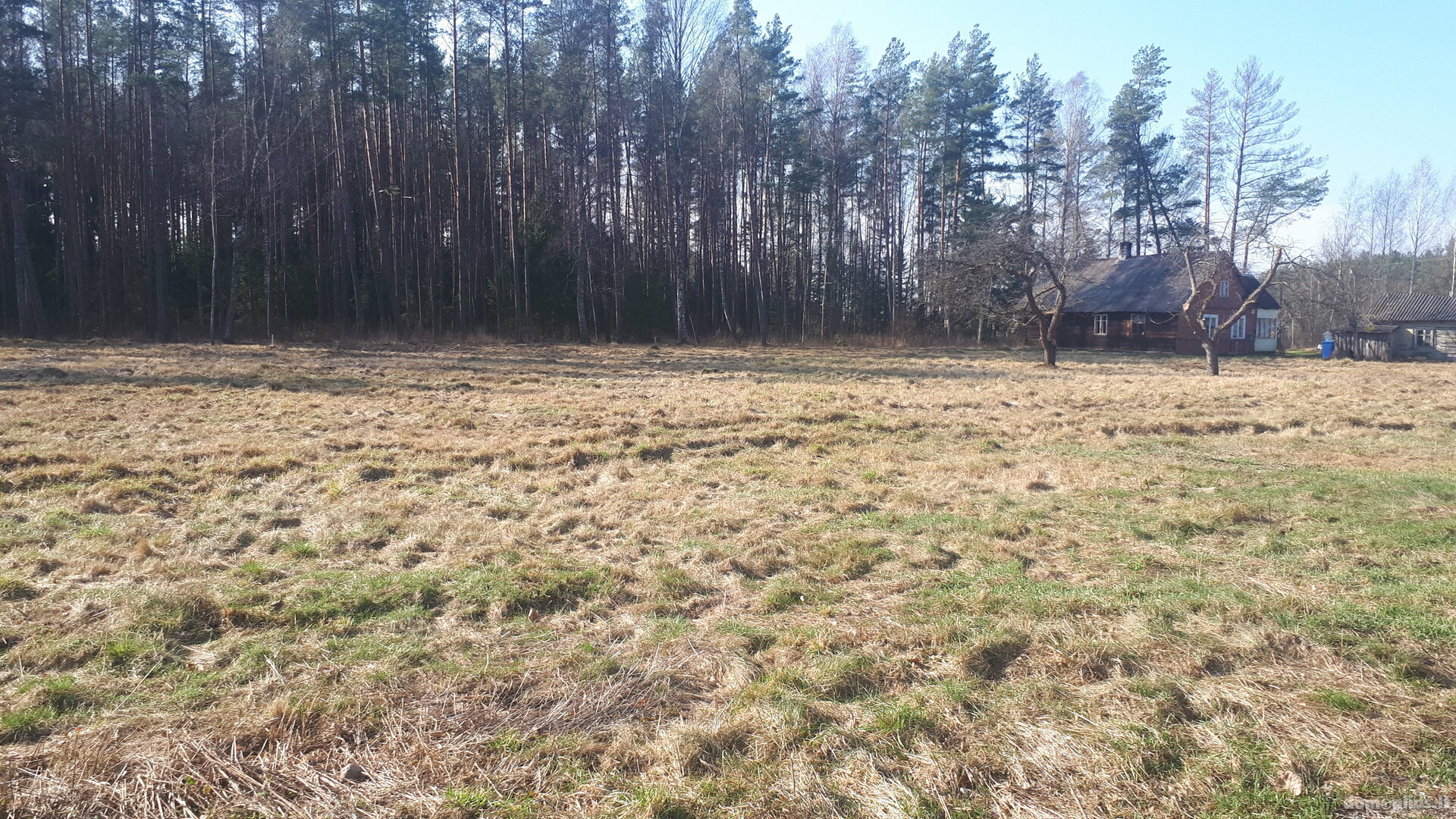 Land for sale Druskininkų sav., Neravuose, Neravų g.