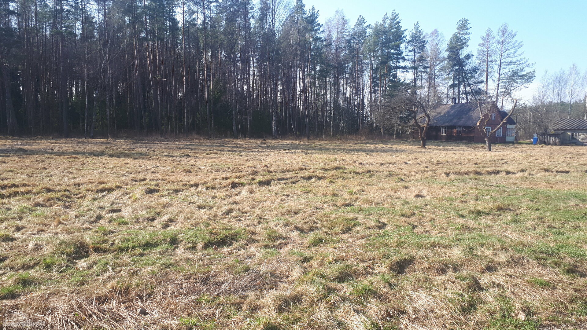 Land for sale Druskininkų sav., Neravuose, Neravų g.