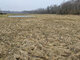 Parduodamas sklypas Panevėžio rajono sav., Šilagalyje, Šermuto g. (5 nuotrauka)