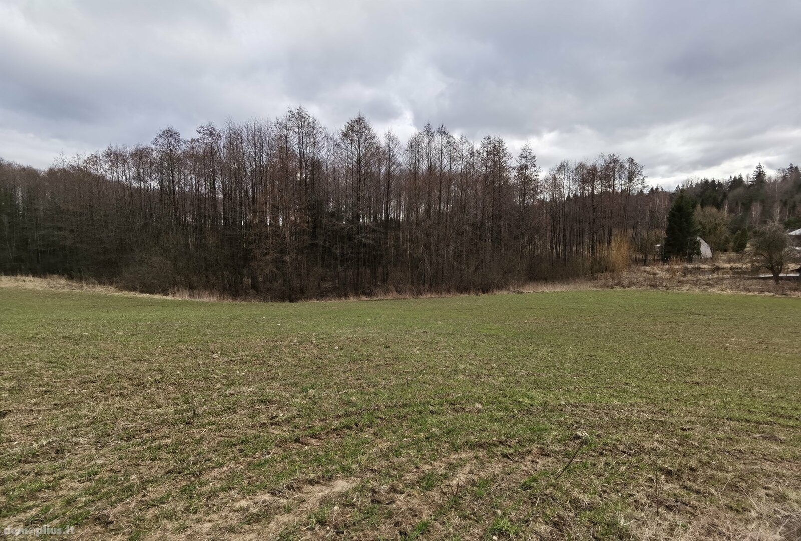 Parduodamas sklypas Alytaus rajono sav., Pivašiūnuose, Ąžuolų g.