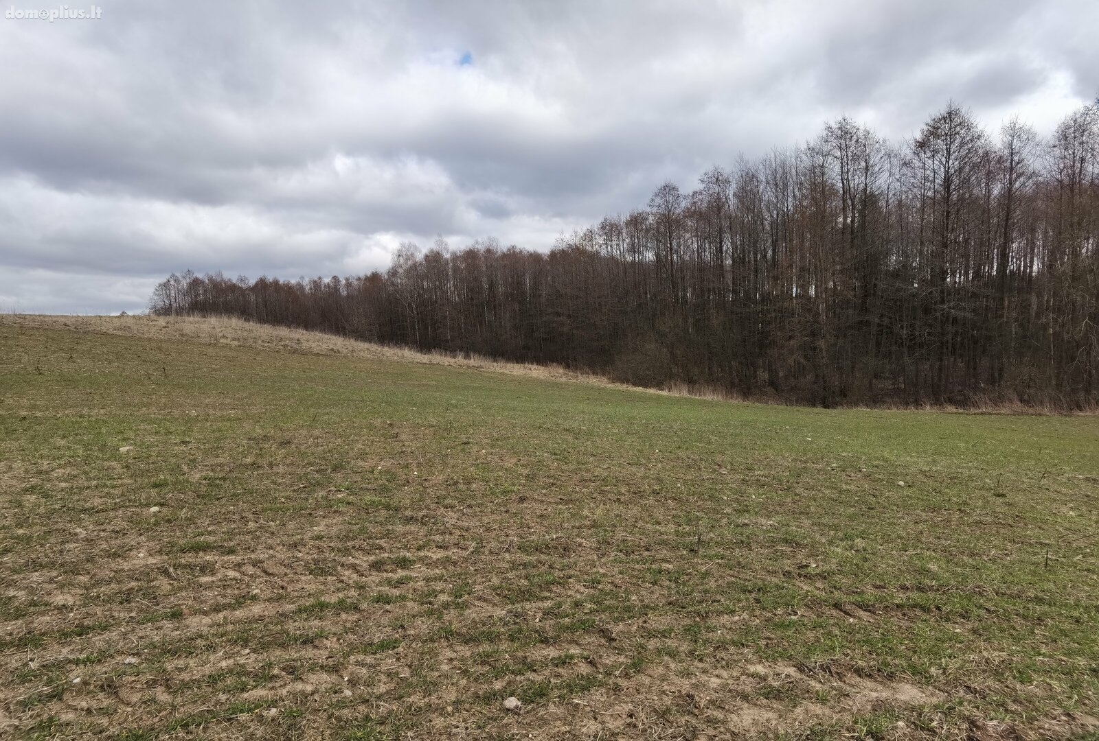 Parduodamas sklypas Alytaus rajono sav., Pivašiūnuose, Ąžuolų g.