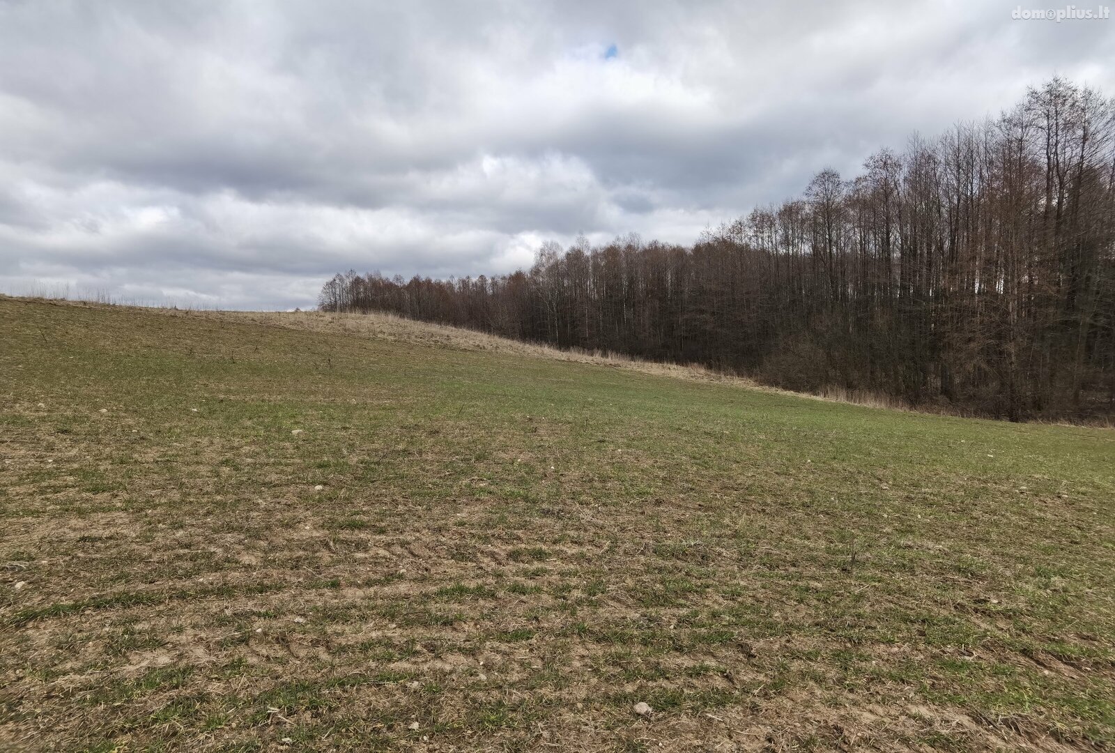 Parduodamas sklypas Alytaus rajono sav., Pivašiūnuose, Ąžuolų g.