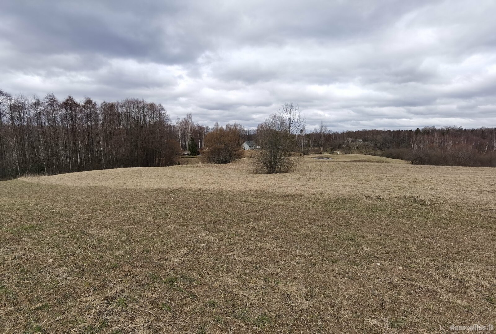 Parduodamas sklypas Alytaus rajono sav., Pivašiūnuose, Ąžuolų g.