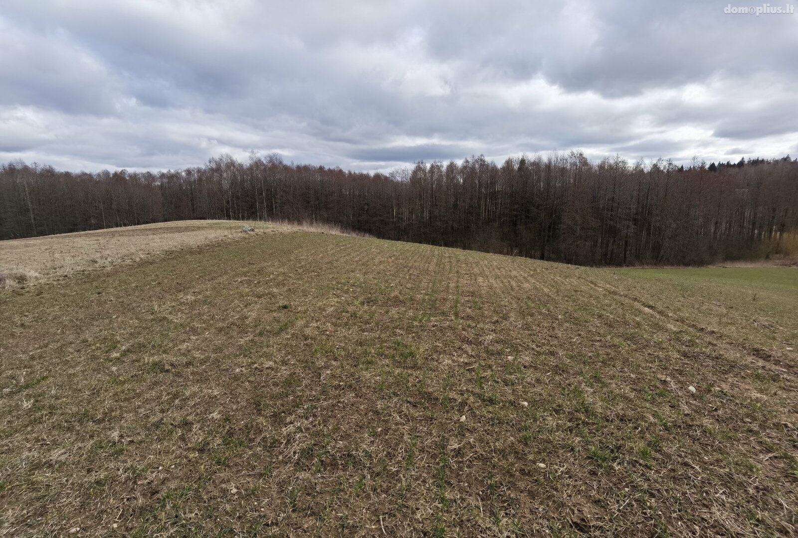 Parduodamas sklypas Alytaus rajono sav., Pivašiūnuose, Ąžuolų g.
