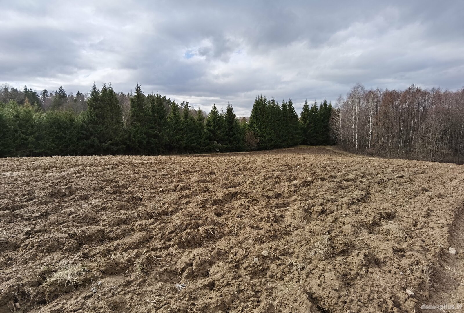 Parduodamas sklypas Alytaus rajono sav., Pivašiūnuose, Ąžuolų g.