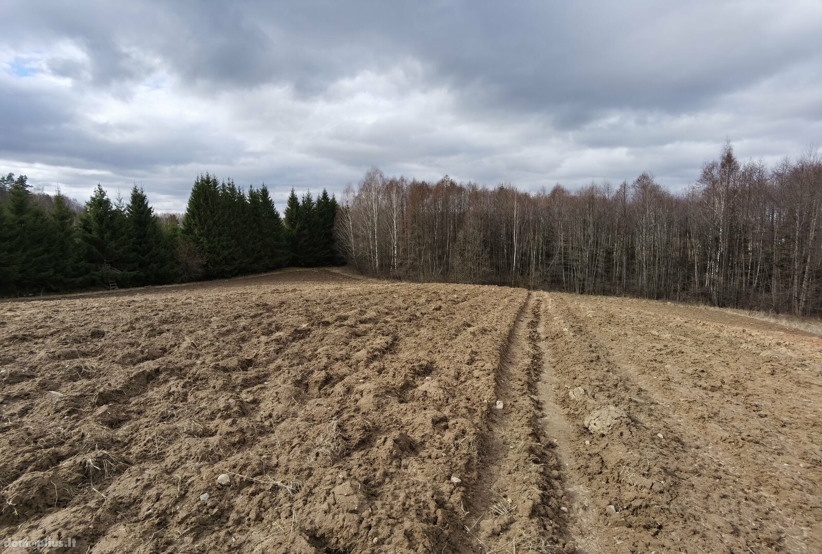 Parduodamas sklypas Alytaus rajono sav., Pivašiūnuose, Ąžuolų g.