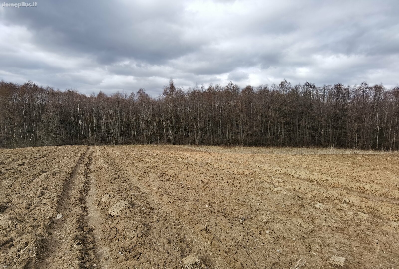 Parduodamas sklypas Alytaus rajono sav., Pivašiūnuose, Ąžuolų g.