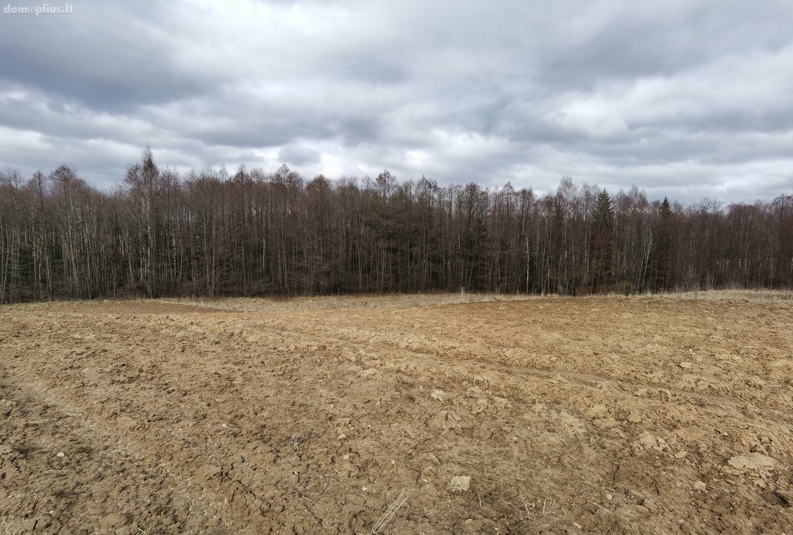 Parduodamas sklypas Alytaus rajono sav., Pivašiūnuose, Ąžuolų g.