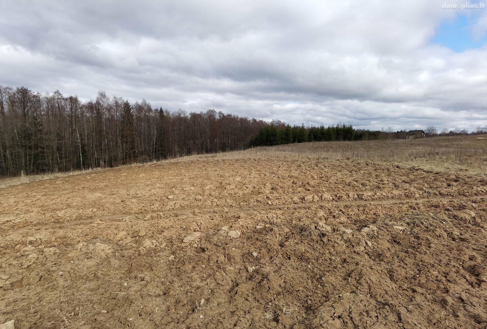 Parduodamas sklypas Alytaus rajono sav., Pivašiūnuose, Ąžuolų g.