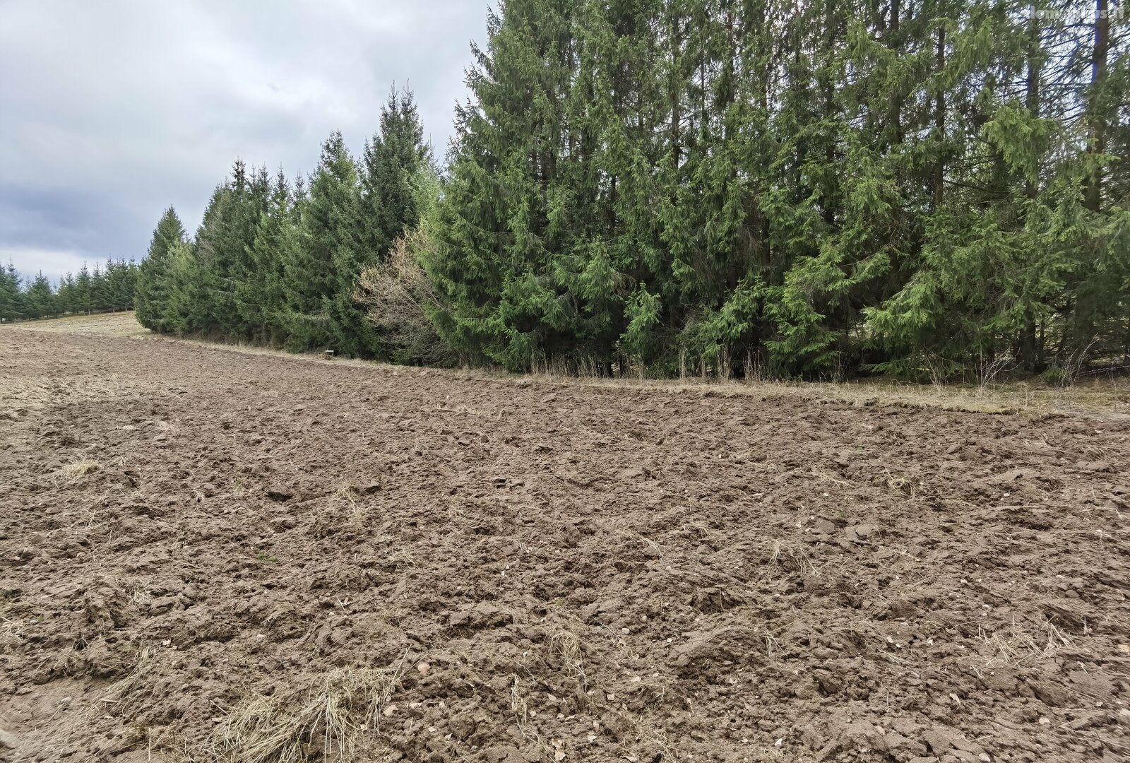 Parduodamas sklypas Alytaus rajono sav., Pivašiūnuose, Ąžuolų g.