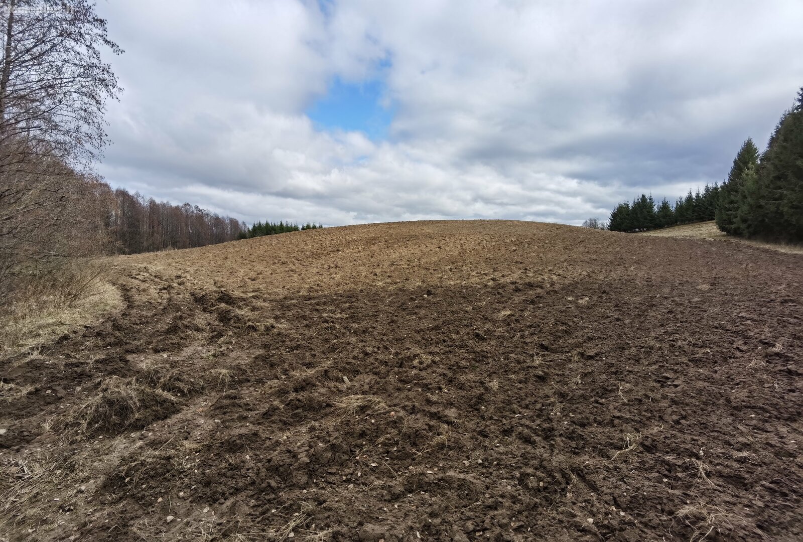 Parduodamas sklypas Alytaus rajono sav., Pivašiūnuose, Ąžuolų g.