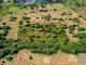 Land for sale Šventojoje, Pušyno g. (16 picture)