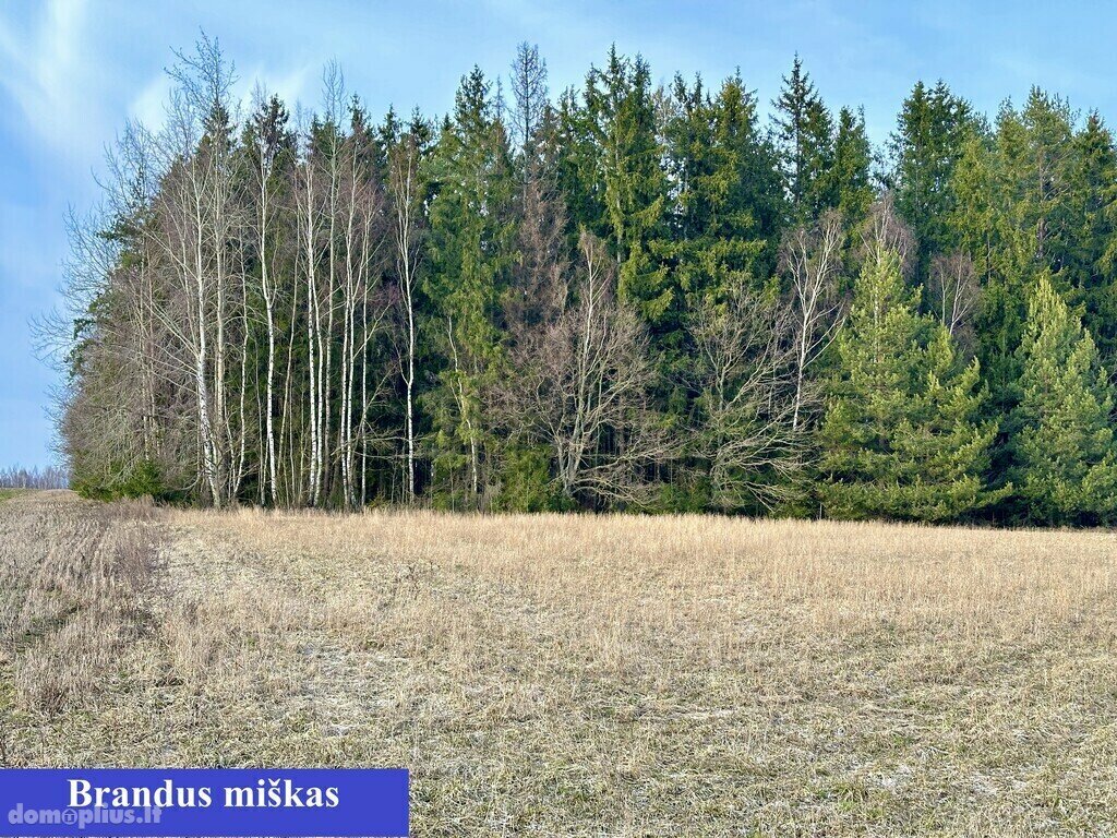 Land for sale Šalčininkų rajono sav., Mikšiuliuose