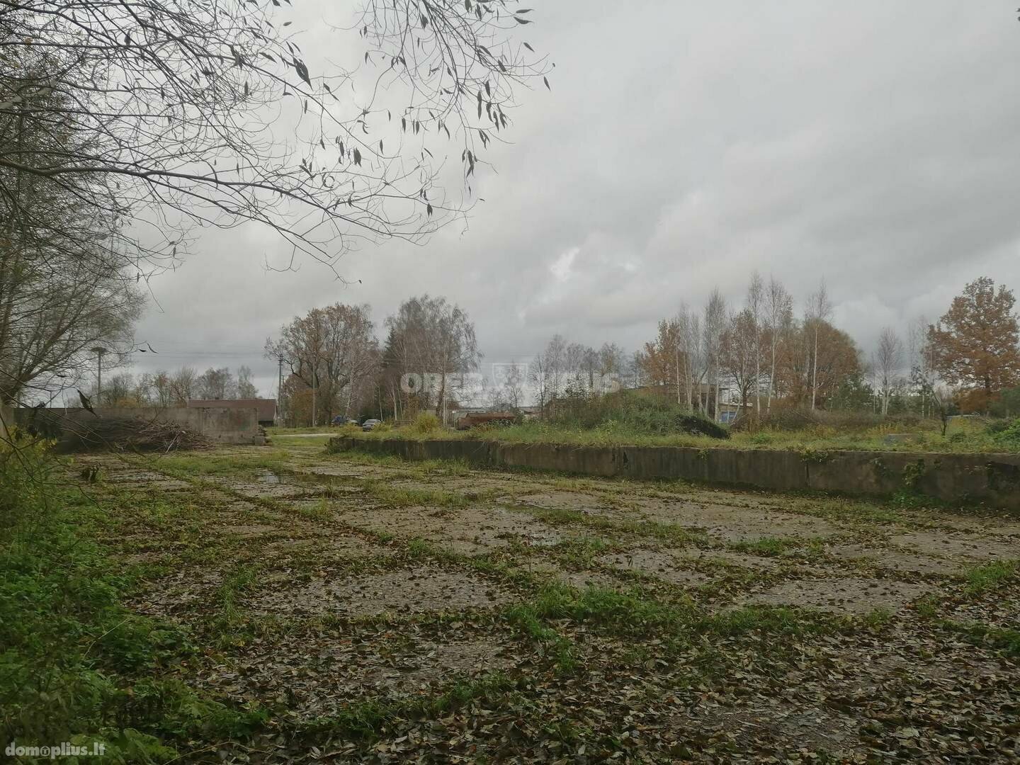 Участок Klaipėdos rajono sav., Jonušuose