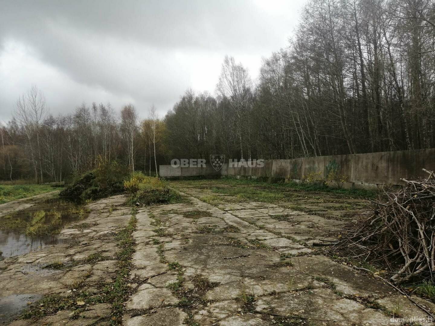 Участок Klaipėdos rajono sav., Jonušuose