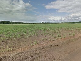 Land for sale Marijampolės sav., Molupyje