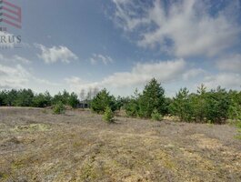 Land for sale Vilniaus rajono sav., Bajoruose