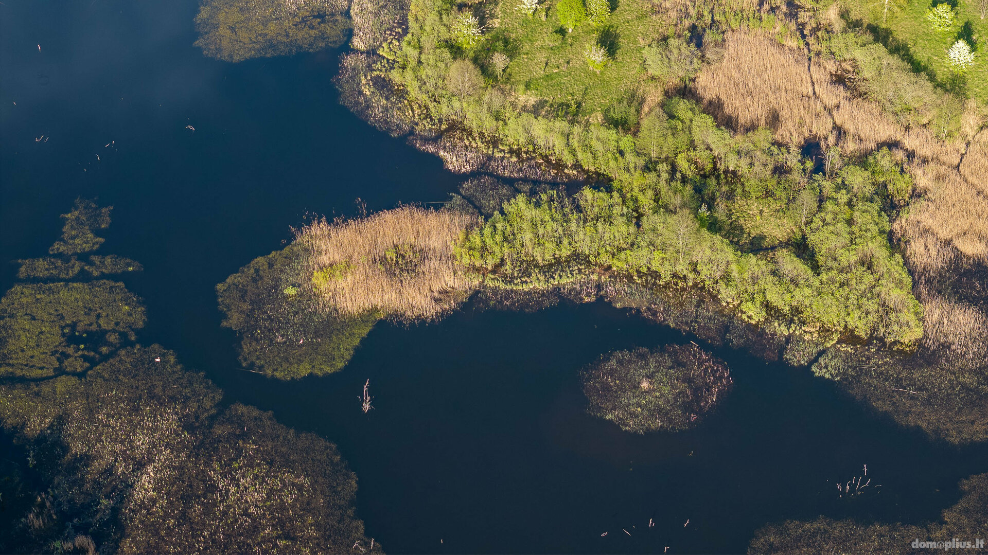 Parduodamas sklypas Molėtų rajono sav., Skroblynuose