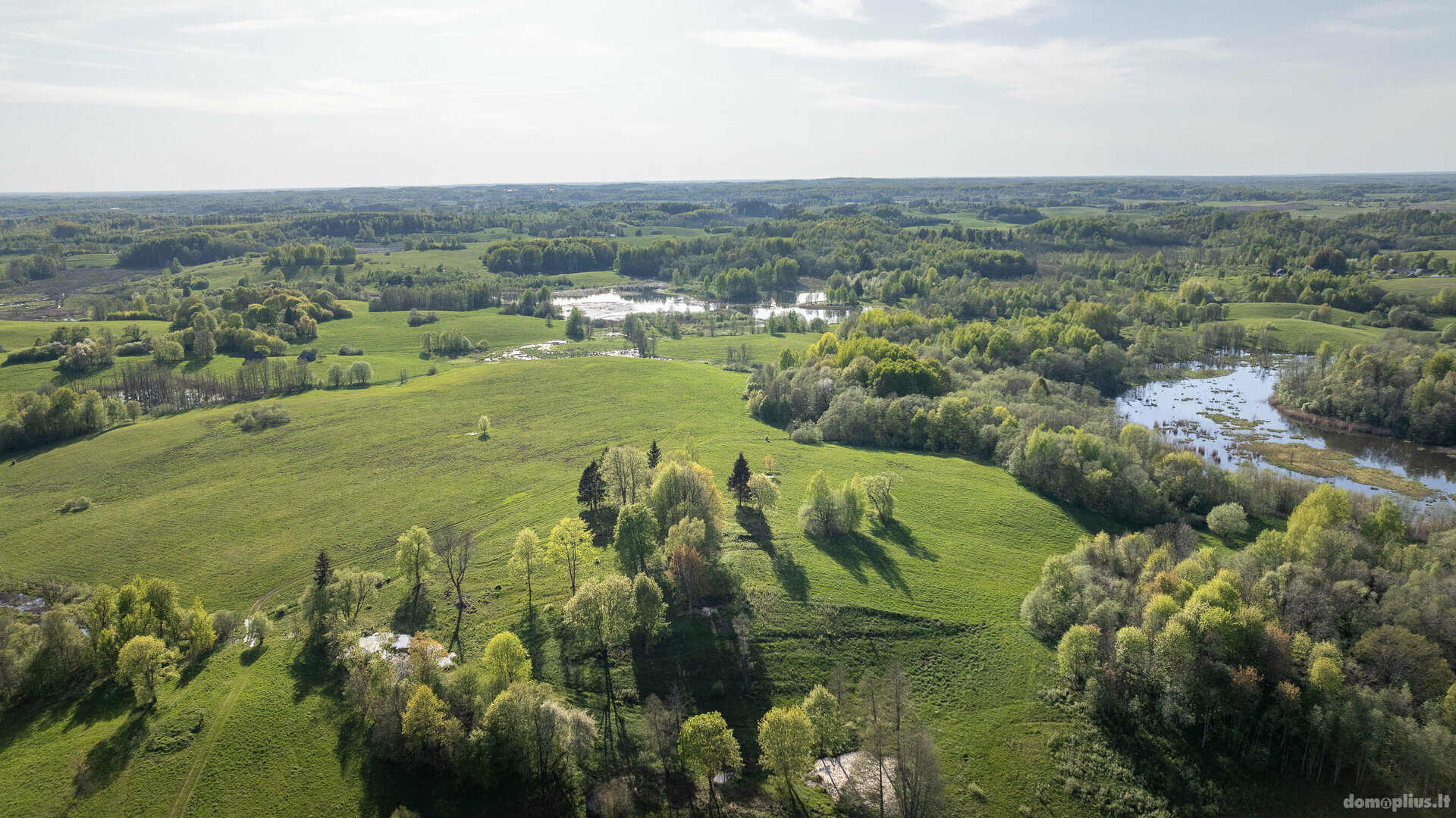 Участок Molėtų rajono sav., Skroblynuose