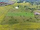 Land for sale Vilniaus rajono sav., Užuežerėje (9 picture)