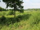 Land for sale Klaipėdos rajono sav., Kalniškėje (14 picture)