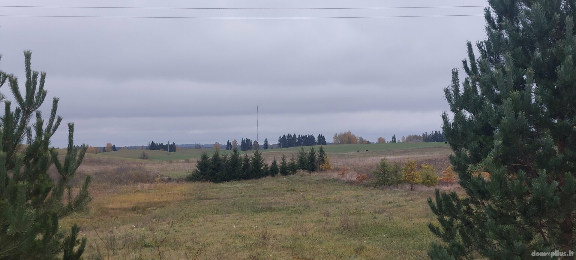 Land for sale Vilniaus rajono sav., Kaušiadaloje