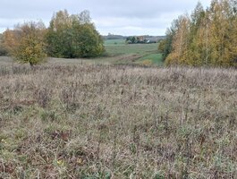 Land for sale Vilniaus rajono sav., Paąžuoliuose