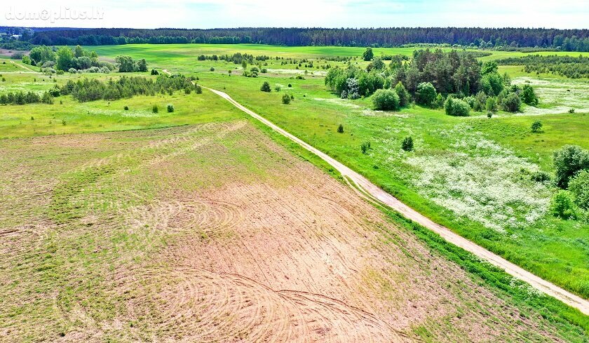 Land for sale Vilniaus rajono sav., Juodbaliuose