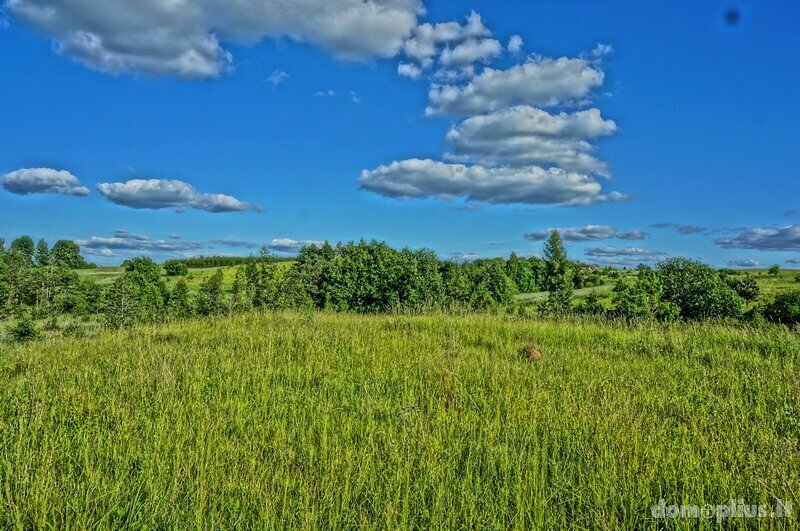 Land for sale Zarasų rajono sav., Kumpuočiuose