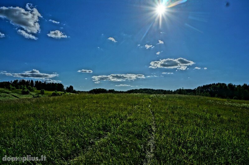 Land for sale Zarasų rajono sav., Kumpuočiuose