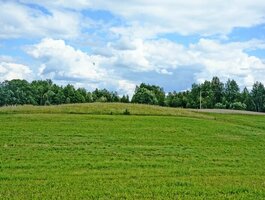 Land for sale Ignalinos rajono sav., Kazitiškyje