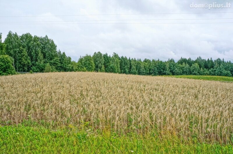 Land for sale Ignalinos rajono sav., Kazitiškyje