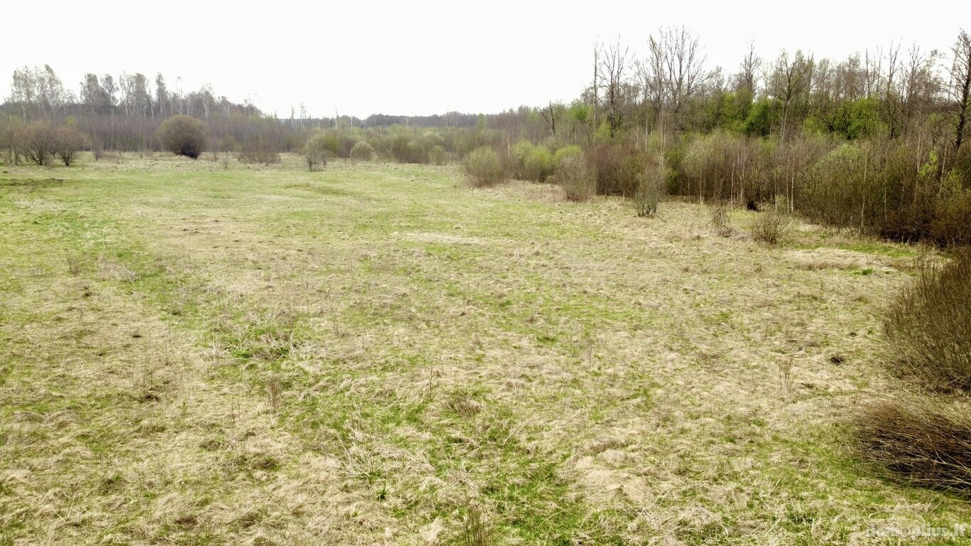 Land for sale Vilniaus rajono sav., Baltoji Vokė