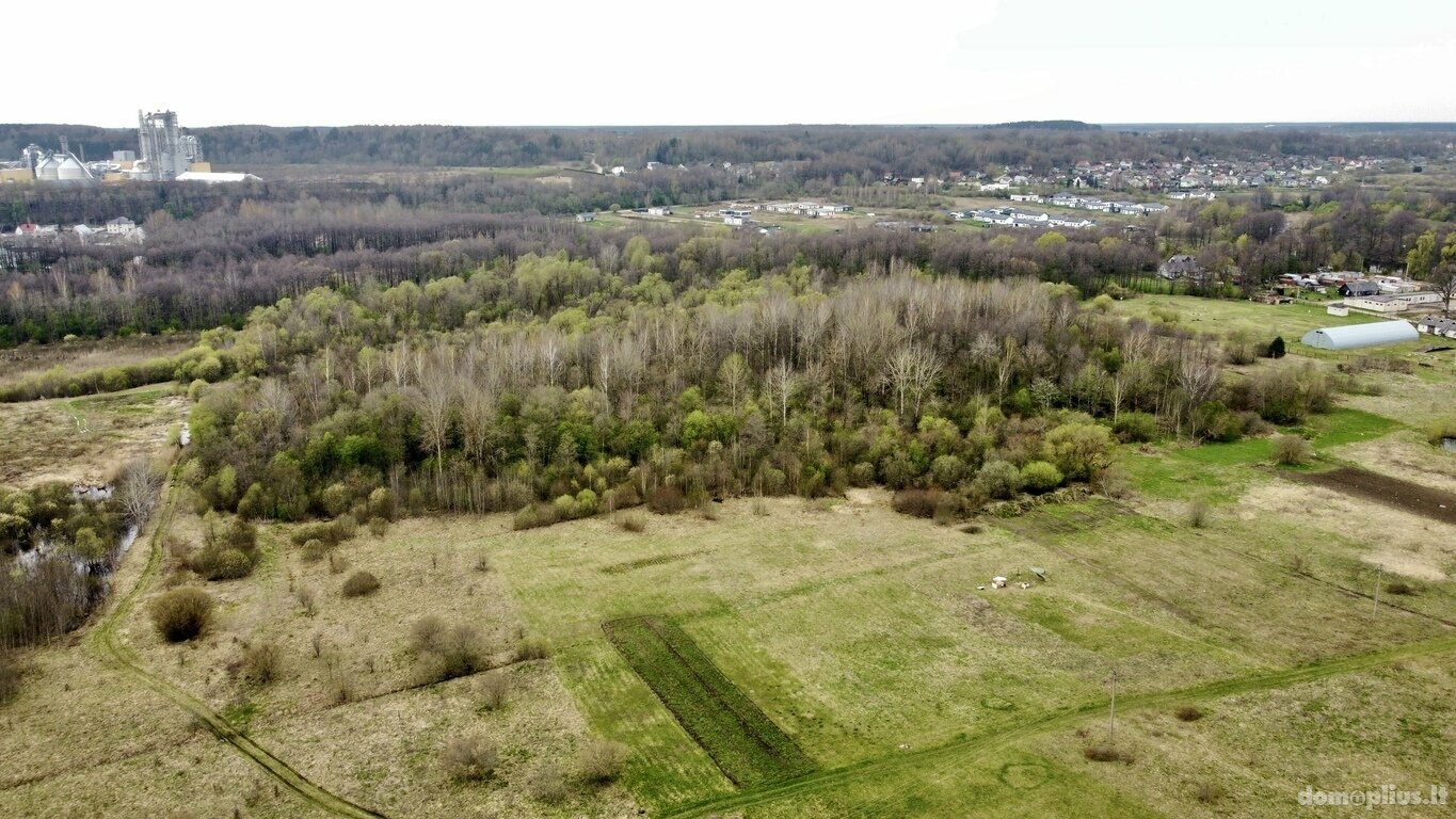 Участок Vilniaus rajono sav., Baltoji Vokė