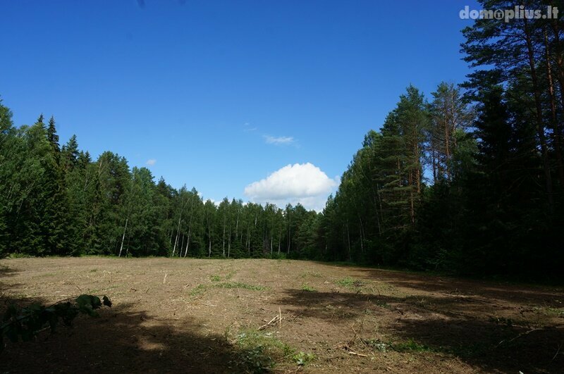 Land for sale Ignalinos rajono sav., Navikuose