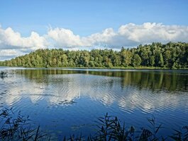 Parduodamas sklypas Utenos rajono sav., Antilgėje