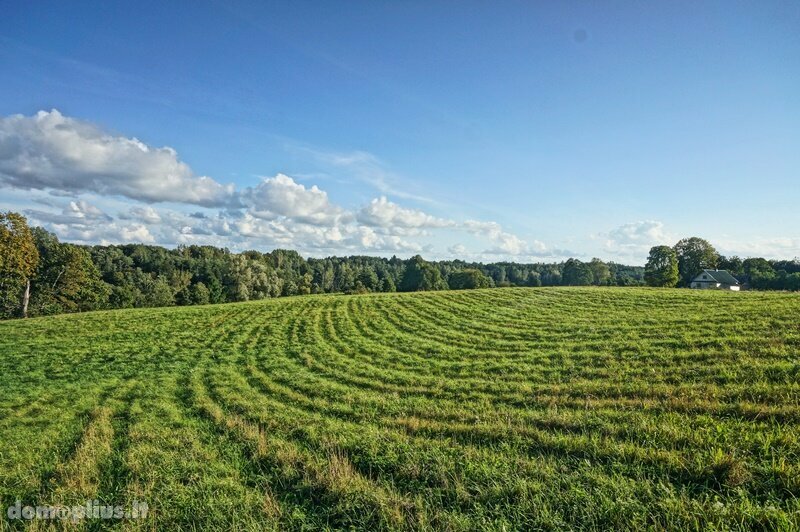 Parduodamas sklypas Utenos rajono sav., Antilgėje
