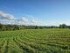 Parduodamas sklypas Utenos rajono sav., Antilgėje (8 nuotrauka)