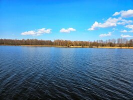 Land for sale Ignalinos rajono sav., Milašaityje
