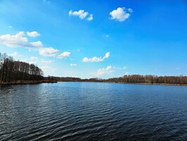 Land for sale Ignalinos rajono sav., Milašaityje