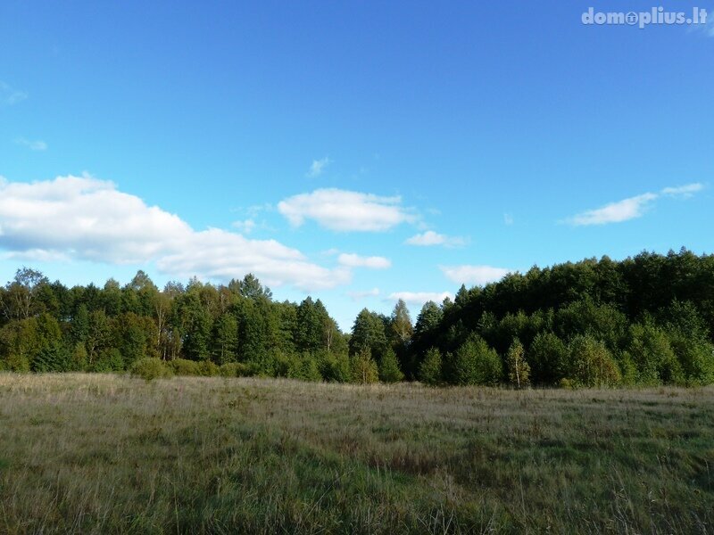 Land for sale Ignalinos rajono sav., Milašaityje
